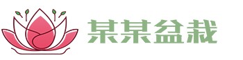 开云(中国大陆)Kaiyun·官方网站-登录入口